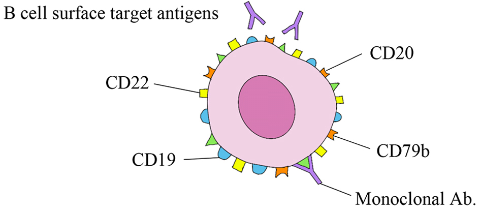 Figure 3. 