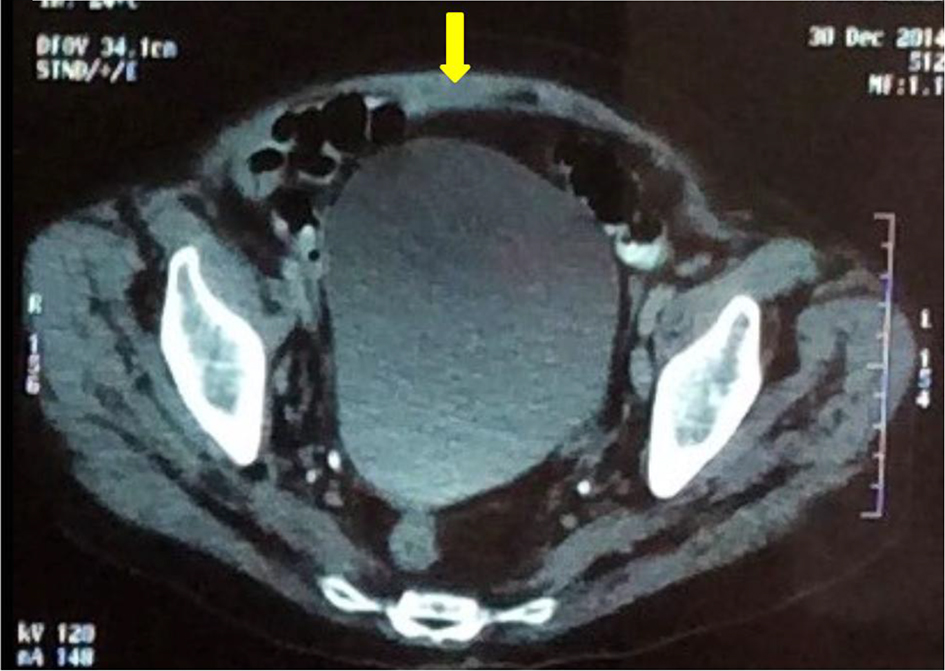 Figure 4. 