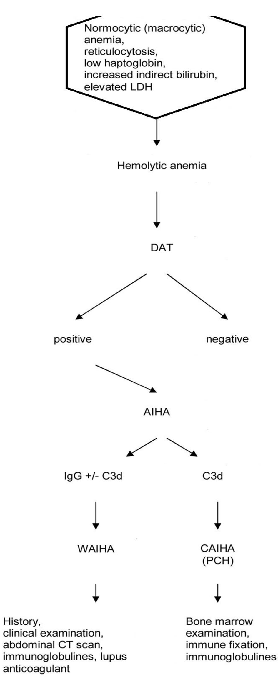 Anemia Diagnosis Chart