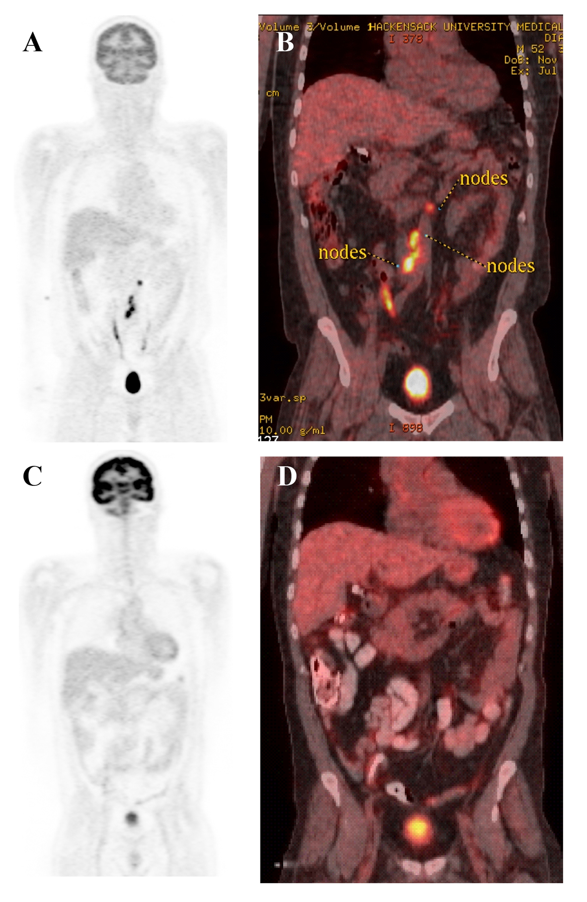 Figure 3. 