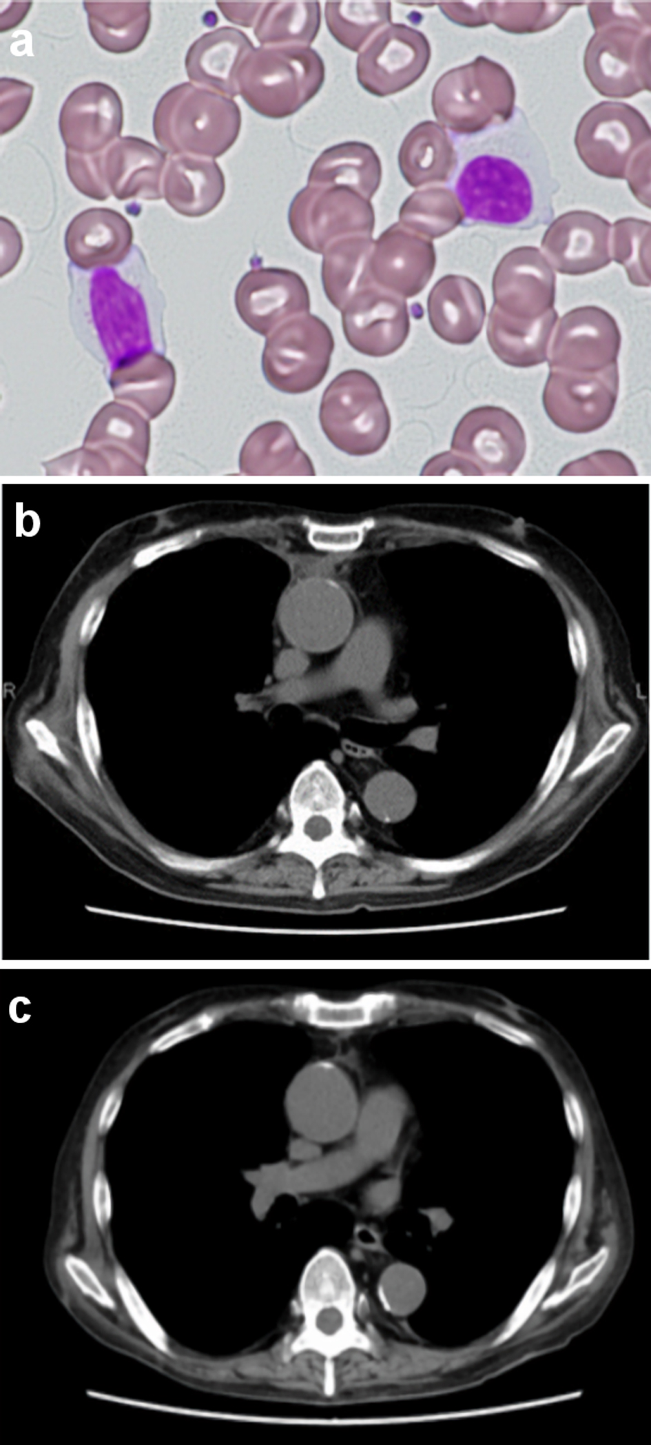 Figure 3. 